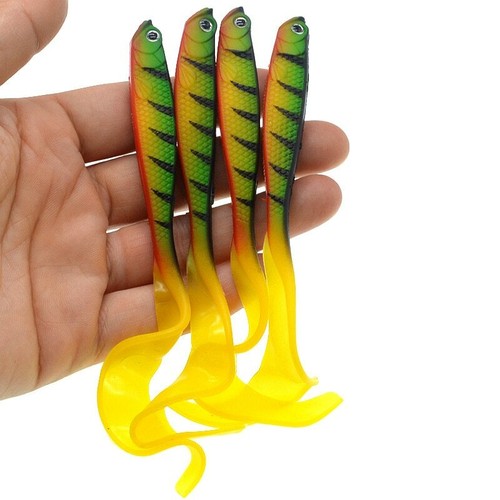 Curly tail perch worm - tail,