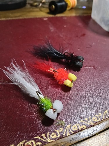 Pack boobies - 3,