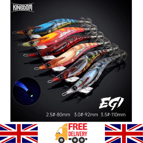 Squid jig lures luminous - jig, slow